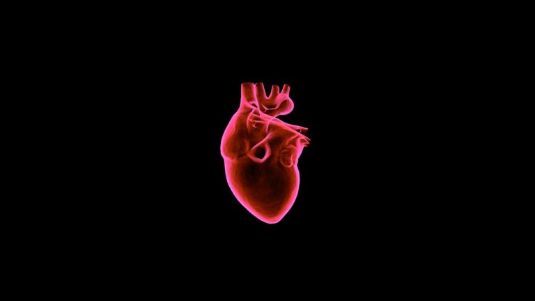 Nuevo método para predecir mejor el riesgo de ictus en la fibrilación auricular