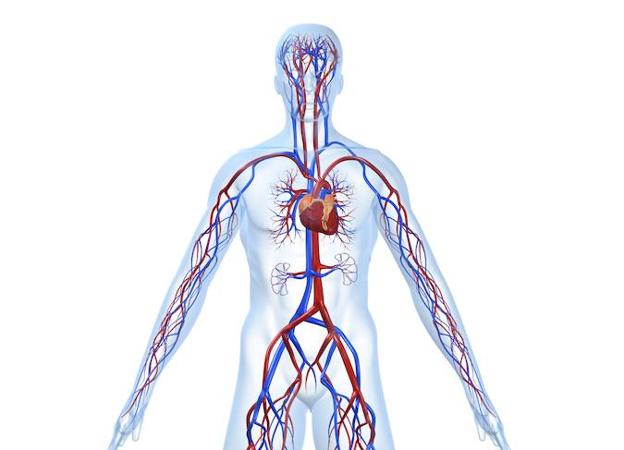 El riesgo vascular puede reducirse controlando los factores de riesgo